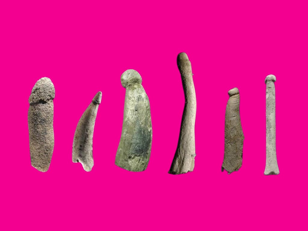 Sex Toy Evolution